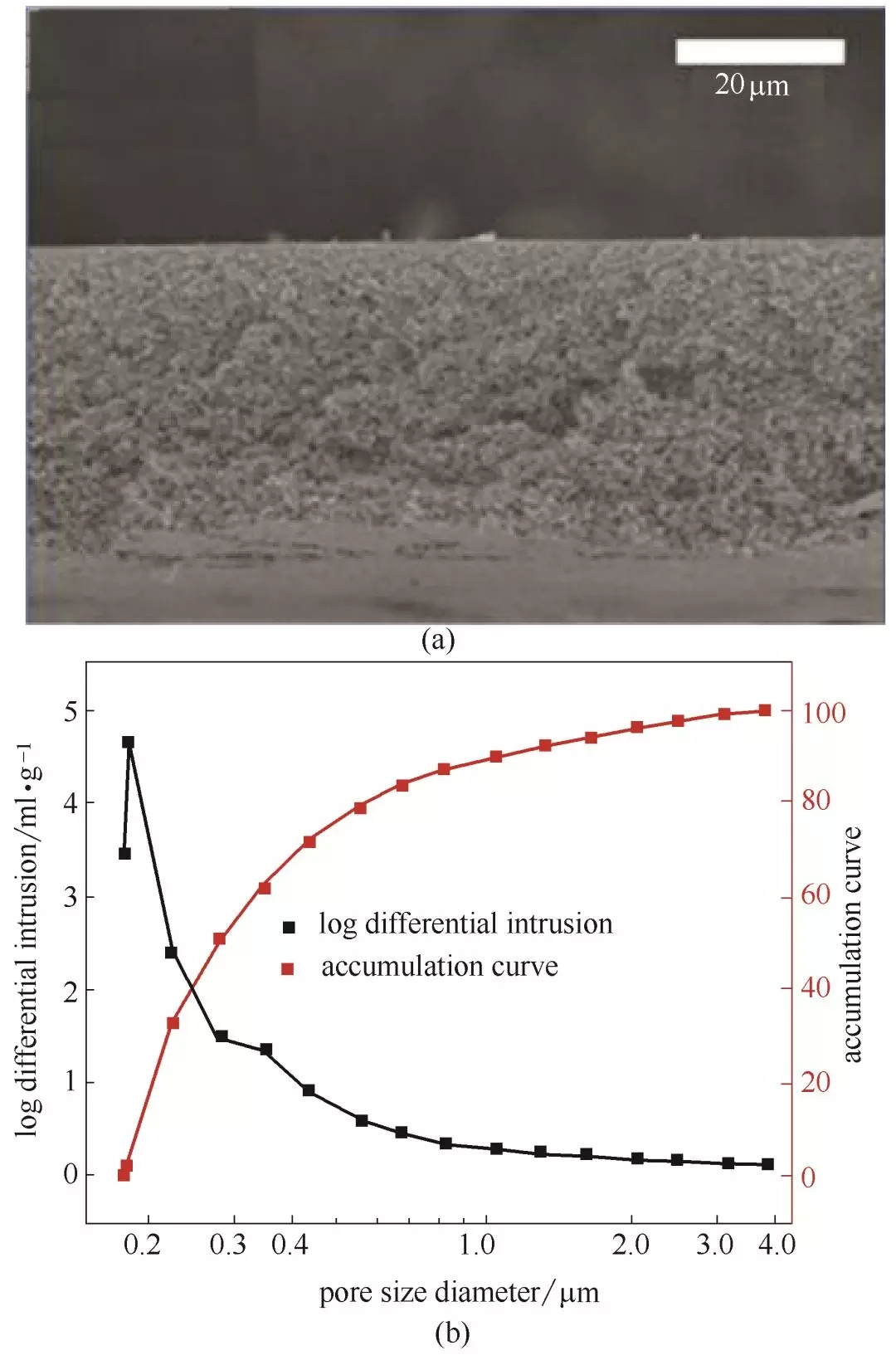 editor1532504308783845.jpg 1.jpg